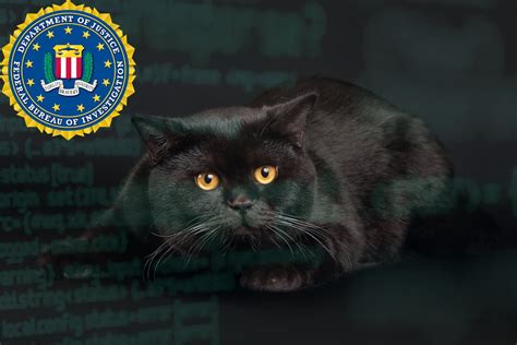 ALPHV BlackCat .